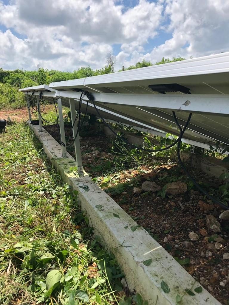 Estructura y cableado de paneles solares, con vegetación a despejar